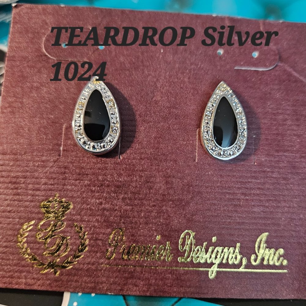 Premier Designs Teardrop Earrings